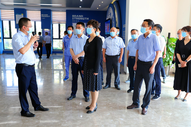 市委凌云書(shū)記到公司調研